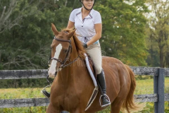 chestnut-horse-famale-rider-turn-arena-corner-gallop-horse-rider-turn-corner-gallop-109844388