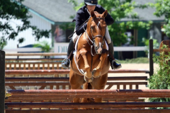 chestnut-hunter-combination-1280x720