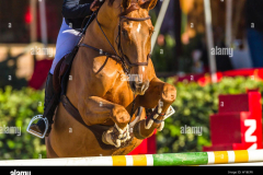 equestrian-rider-show-jumping-horse-head-feet-closeup-jumping-action-over-gate-poles-with-blue-sky-W18EFR