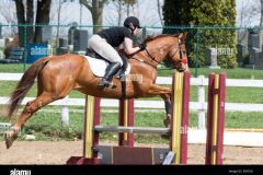 horse-in-mid-jump-over-a-fence-at-a-horse-show-E0F35G